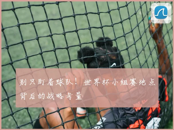 别只盯着球队！世界杯小组赛地点背后的战略考量
