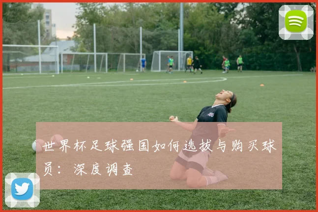 世界杯足球强国如何选拔与购买球员:深度调查