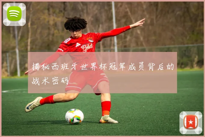 揭秘西班牙世界杯冠军成员背后的战术密码