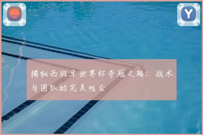揭秘西班牙世界杯夺冠之路：战术与团队的完美结合